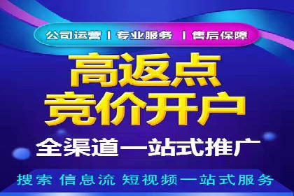 SEM竞价实战：案例解读广告投放技巧