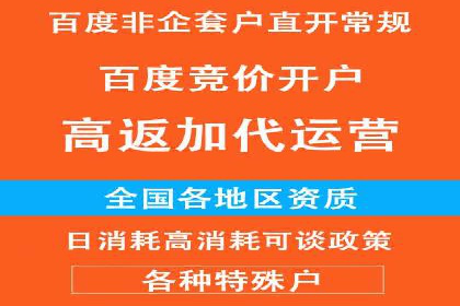 搜索引擎竞价推广实战：行业领先企业的成功秘诀